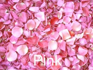 Pink Freeze Dried Rose Petals